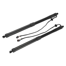 Auto Parts 2pcs Tailgate Liftgate Strut Left & Right for Hyundai Santa Fe Sport 15-18 81770 2W600, 817702W600