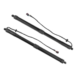 Auto Parts 2pcs Tailgate Liftgate Strut Left & Right for Hyundai Santa Fe Sport 15-18 81770 2W600, 817702W600