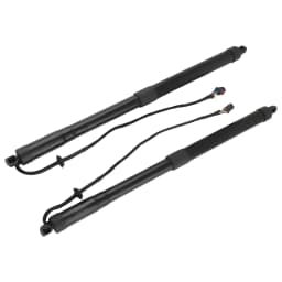 Auto Parts 2pcs Tailgate Liftgate Strut Left & Right for Hyundai Santa Fe Sport 15-18 81770 2W600, 817702W600