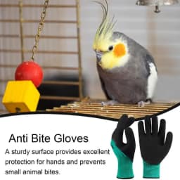 Anti-bite Gloves Pet Supplies Hamster Anti-bite Gloves Multifunctional Pet Training Gloves Thickened Anti-scratch Safety Touch
