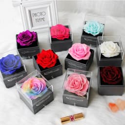 Eternal Rose Flower Jewelry Gift Box Ring Earrings Necklace Storage Boxes Wedding Christmas Valentines Artificial Jewellery Case