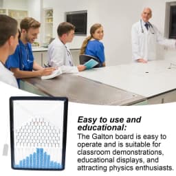 Bell Curve Board Desk Toy Effective Statistical Law Demonstration Experimental Plates Statistical Laws Physicalschool Laboratory
