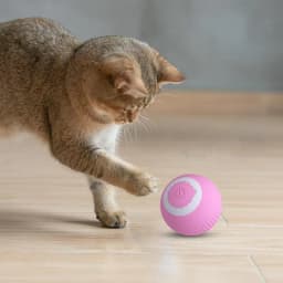 Smart Dog Toy Ball Electronic Interactive Pet Toy Moving Ball USB Automatic Moving Bouncing for Puppy Birthday Gift Cat Product