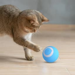 Smart Dog Toy Ball Electronic Interactive Pet Toy Moving Ball USB Automatic Moving Bouncing for Puppy Birthday Gift Cat Product