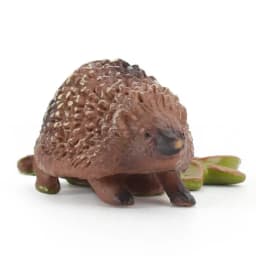 Hedgehog Figurine Toy Realistic Detailed Hedgehog Figures Toy Hedgehog Action Figures For School Projects Hedgehog Animals Toy