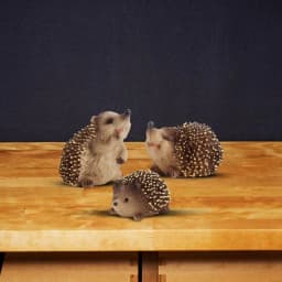 Hedgehog Figurine Toy Realistic Detailed Hedgehog Figures Toy Hedgehog Action Figures For School Projects Hedgehog Animals Toy