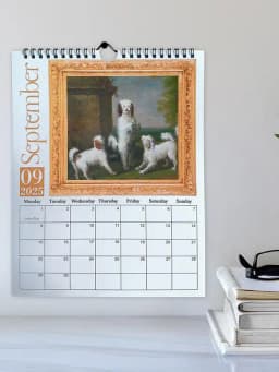 2025 Dog Calendar Monthly Mystique Medieval Dogs Wall Calendar Fun Wall Dog Planning Calendar For Classroom Dormitory Apartment