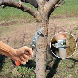 Fruit Tree Ring Cutter Adjustable Garden Tree Pruning Scissor Peeling Shear Bark Girdling Cutter Garden Stripper For Garden And
