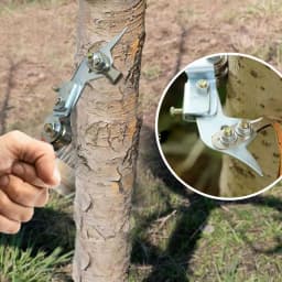 Fruit Tree Ring Cutter Adjustable Garden Tree Pruning Scissor Peeling Shear Bark Girdling Cutter Garden Stripper For Garden And