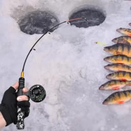 Ice Fishing Rod Winter Fishing Rod Fishing Pole Kit With Solid Rod Tip Design Compact Tackles For Underwater Fishing Use