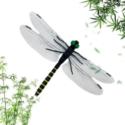 Kids Dragonfly Toys Large Animal Models For Children Creative Educational Models Dragonfly Toys For Enlightenment Education