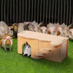 Hamster House Hiding Corner Wooden Hut Habitat Multi Chamber Exploration Toy Cage Accessories for Hamster Syrian Hamsters Dwarf