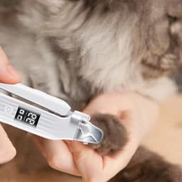 Electric Pet Nail Trimmer Rechargeable Electric Nail Trimmer For Cats Quiet Pet Nail Grinder & Nail Trimmer With LED Light For