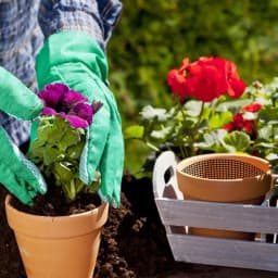 5/10/15/20pcs Flower Pot Mesh Pad 20x30cm Rectangular Basin hole mesh pad Prevent Soil Loss drainage hole mesh mat