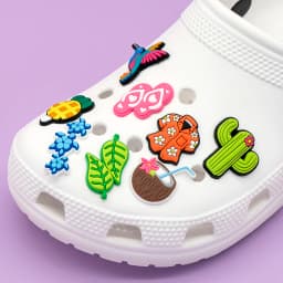 1/30PCS Hawaiian Casual Shoes Charms Decoration,Summer Style Accessories Pins For Shoes,Rainbow Sandals Clogs Buckles