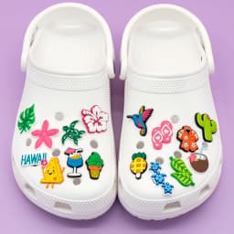 1/30PCS Hawaiian Casual Shoes Charms Decoration,Summer Style Accessories Pins For Shoes,Rainbow Sandals Clogs Buckles