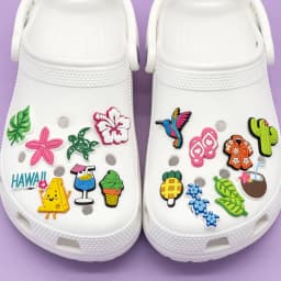 1/30PCS Hawaiian Casual Shoes Charms Decoration,Summer Style Accessories Pins For Shoes,Rainbow Sandals Clogs Buckles