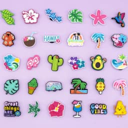 1/30PCS Hawaiian Casual Shoes Charms Decoration,Summer Style Accessories Pins For Shoes,Rainbow Sandals Clogs Buckles