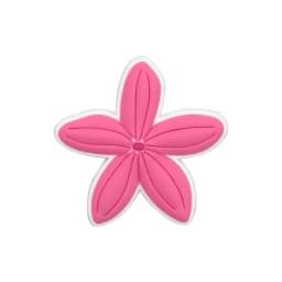 1/25pcs Pink Flower Heart Watermelon Shoe Charms Airplane Ticket Luggage Shoe Decoration Pins for Women Pizza Banana Clog Jeans