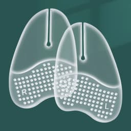 Silicone Slipper Forefoot Pads, Flip-Flop Pads, Foot Care Massage Pads, Non-Slip Cushioning