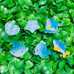 6pcs Cartoon Blue Whale Shark Dolphin Star Heart Resin Shoe Charms Buckle Clog Garden Shoes Decorations Hole Slipper Accessories