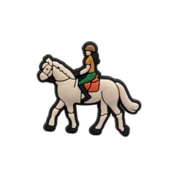 1/11pcs Cowboy Cowgirls Style Shoe Charms for Women Girls, Cactus Shoe Charms Decorations Accessories Pins for Kids,Clog Buckles