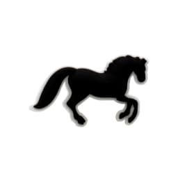 1/11pcs Cowboy Cowgirls Style Shoe Charms for Women Girls, Cactus Shoe Charms Decorations Accessories Pins for Kids,Clog Buckles