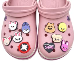 1-10pcs Hot Toys Cartoon Cute Small Animal Series PVC Shoe Accessories DIY Creativity Sandal Wristbands Party Decorations