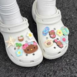 Summer Brown Hello Kitty Hawaiian Theme Starfish Shoe Charms Beach Clog Accessories Sandals Clip DIY Decor for Women Party Gift