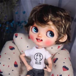 Blythes Doll Wig Fits Into the 1/6 Style Male European Style Curly Hair With Highlights Dark Brown Mixed Light Imitation Mohair