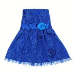 Doll clothes suitable for 18-inch American dolls. (does not include dolls and shoes.) Blue lace skirt costume.