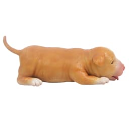 IVITA 18CM 100% Full Silicone Reborn Dog Doll with Eye Soft Silicone Realistic Collectible Art Toys for Children Christmas Gift