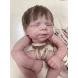 18inch Already Painted Kits Pascale Soft Vinyl Reborn Doll Kit Lifelike Baby 3D Painting with Visible Veins Cloth Body Included