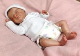 10inch Already Finished Bebe Reborn Dolls Miniature Newborn Baby Real Touch Soft Silicone Vinyl 3D Painted Visible Veins Doll