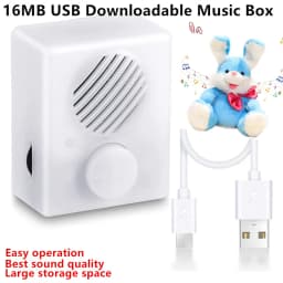 Voice Recorder for Stuffed Animals,16M USB Downloadable & Recordable Sound Box for Crafters, School Presentations, DIY Gifts