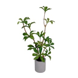 1 Pc Miniature Potted Plant Green Leafed Plant Pot Bonsai Home Garden Decor Toy Doll House Accessories