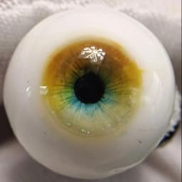 Resin Eyes 12/ 14/ 16/ 18mm 1/3 1/4 1/6 Bjd Doll Change Makeup Accessories Girls Dress Up Toys