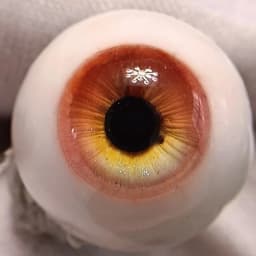 Resin Eyes 12/ 14/ 16/ 18mm 1/3 1/4 1/6 Bjd Doll Change Makeup Accessories Girls Dress Up Toys