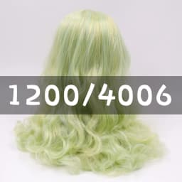 RBL ICY DBS Blyth Doll Scalp Hair Wigs Including Hard Endoconch Dome OB24 ANIME GIRL