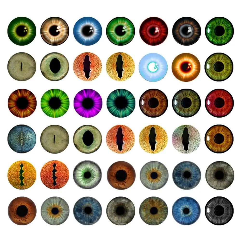 25Pairs Glass Doll Eyes Animal DIY Crafts Eyeballs For Dinosaur Eye Accessories Jewelry Making Handmade 8mm/10mm