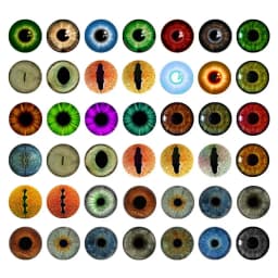 25Pairs Glass Doll Eyes Animal DIY Crafts Eyeballs For Dinosaur Eye Accessories Jewelry Making Handmade 8mm/10mm
