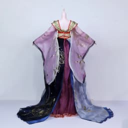 Dream Fairy 1/3 BJD Doll Ancient Chinese clothing Suitable for 60cm Ball Joint Doll DIY Toy Doll Girls SD
