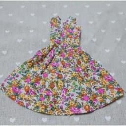 Toy accessories gift pretty clothes dressess for your BB FR 1/6 scale dolls BBIKG176