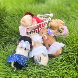 12cm Cute Mini Reborn Piglet Full Body Silicone Piglet Dolls With 3 Sets Mini Outfits for Each Bebe Reborn Smile Piglet