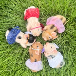 12cm Cute Mini Reborn Piglet Full Body Silicone Piglet Dolls With 3 Sets Mini Outfits for Each Bebe Reborn Smile Piglet