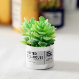 Fairy Garden Ornament Mini Potted Plant Flowers Pot DollHouse Decor Bonsai Model Kids Play Toys 1:12 Doll House Miniature