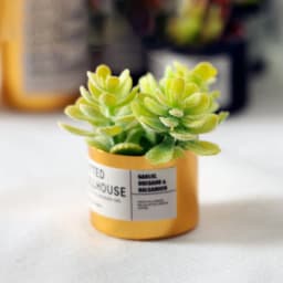 Fairy Garden Ornament Mini Potted Plant Flowers Pot DollHouse Decor Bonsai Model Kids Play Toys 1:12 Doll House Miniature