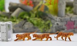 HO1:87 Animal Model Pigeon, Seagull, Wild Boar,Zebra, Seal,Tiger Lion Peacock Sea Lion Dolphin Wolf Pack Camel Animal Decor