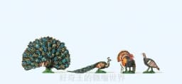 HO1:87 Animal Model Pigeon, Seagull, Wild Boar,Zebra, Seal,Tiger Lion Peacock Sea Lion Dolphin Wolf Pack Camel Animal Decor