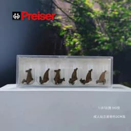 HO1:87 Animal Model Pigeon, Seagull, Wild Boar,Zebra, Seal,Tiger Lion Peacock Sea Lion Dolphin Wolf Pack Camel Animal Decor